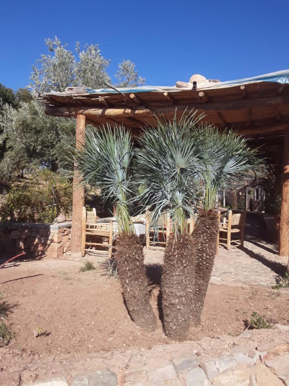 Kasbah Timdaf Hotel Demnat Ngoại thất bức ảnh