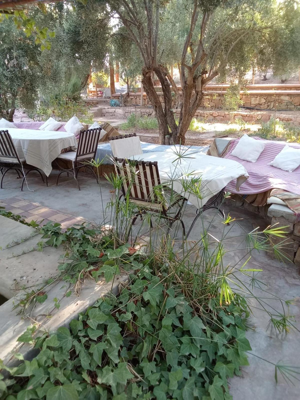 Kasbah Timdaf Hotel Demnat Ngoại thất bức ảnh